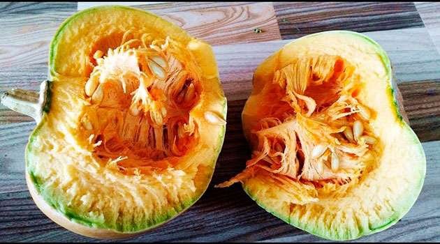Pumpkin Benefits in telugu