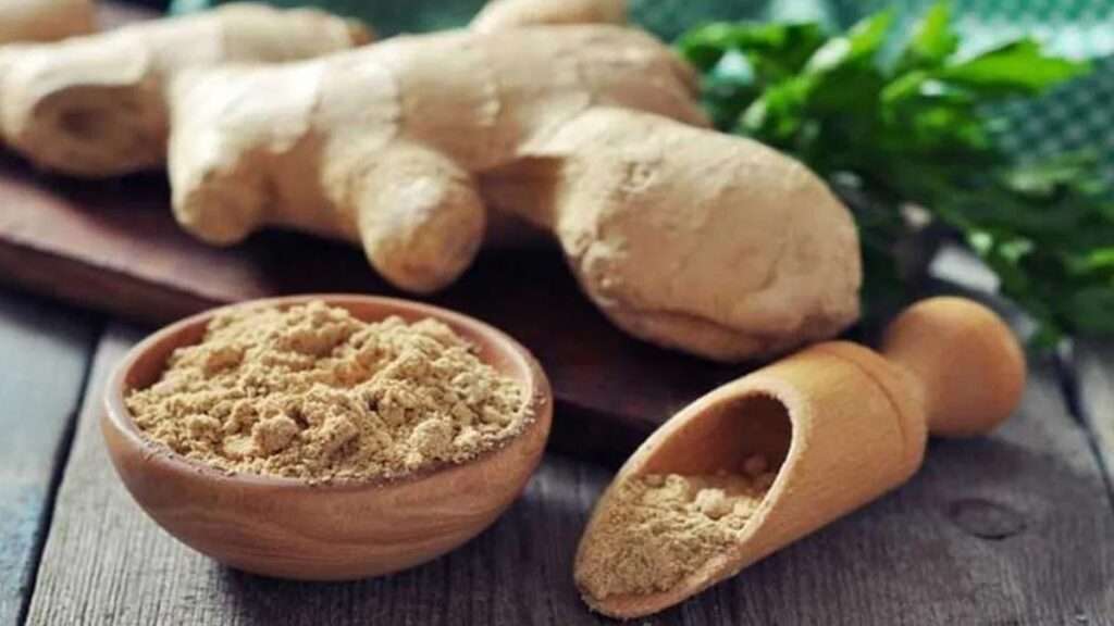 sonthi powder