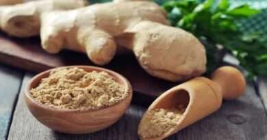 sonthi powder