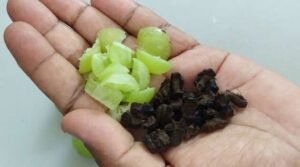 Amla Health benefits In telugu