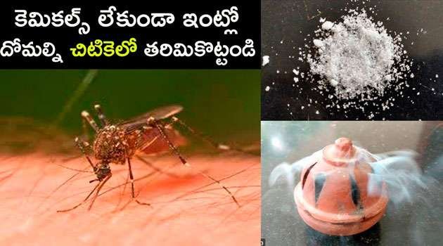 Mosquitoes remove tips in telugu