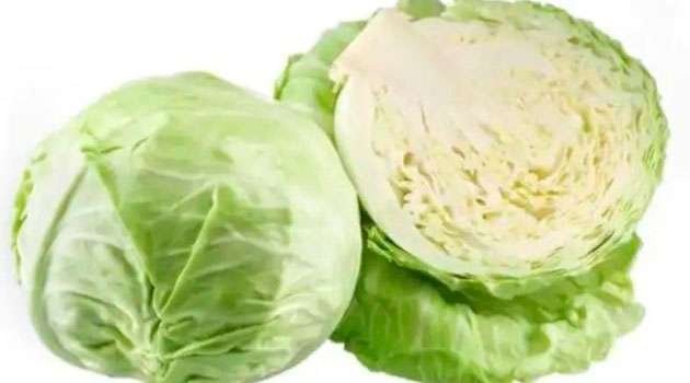 Cabbage side effects in telugu