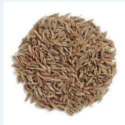 cumin seeds