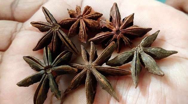 star anise Face Glow Tips In telugu