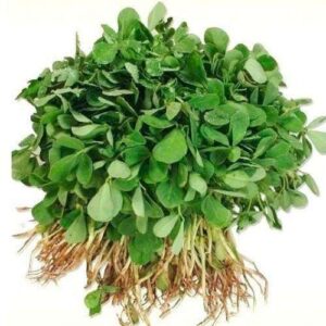 Fenugreek leaves benefits