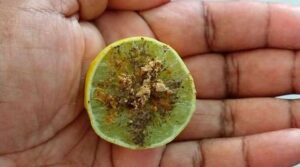 Gas problem home remedy in telugu