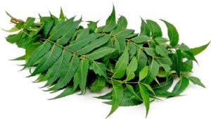 Neem leaves benefits