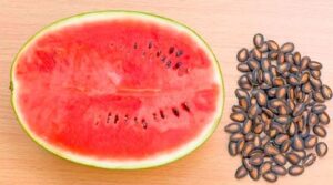 Water Melon Seeds Benefits In telugu