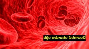 Health Tips To Control Anemia In Telugu