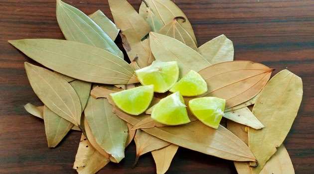 Lemon Weight Loss Tips in Telugu