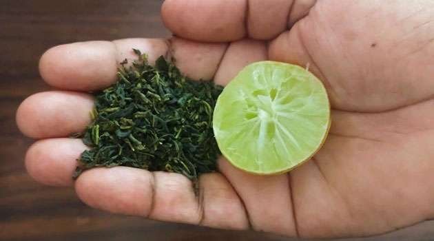 Green Tea Weight Loss Tips In Telugu