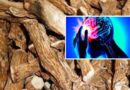 Vasa Kommu Benefits In telugu