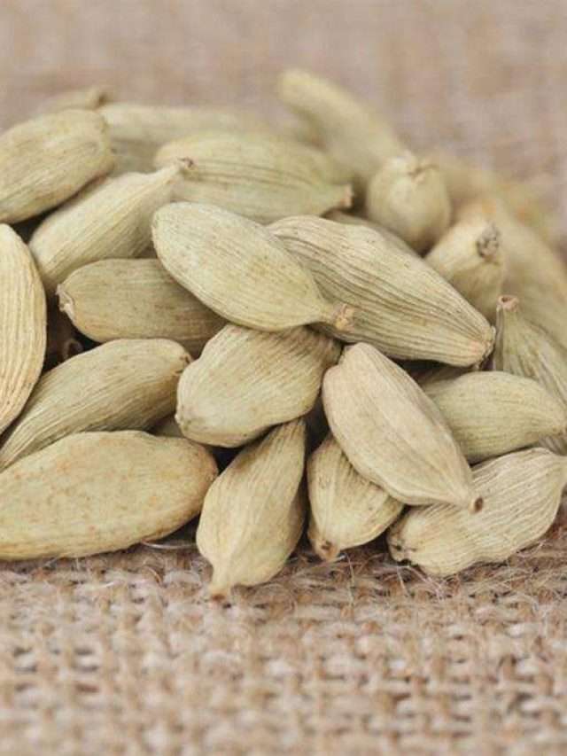 యాలకులలో ఉన్న 10 అద్భుతమైన ఆరోగ్య ప్రయోజనాలు