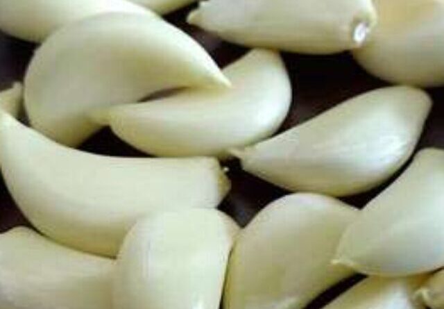 cropped-garlic-side-effects.jpg