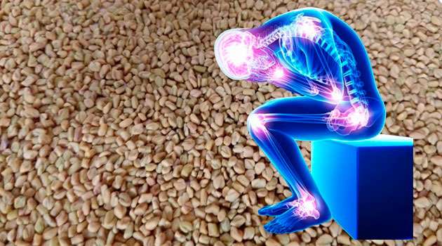 fenugreek Joint Pains Tips In telugu
