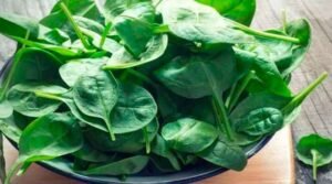 spinach Benefits In Telugu