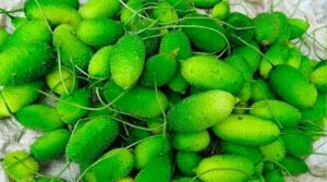 Spiny Gourd health benefits In telugu