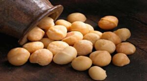 Macadamia Nuts Benefits