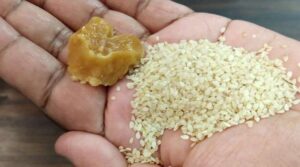 sesame seeds and jaggery