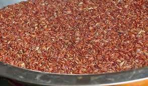 red rice 2