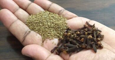Breathing Problem Vamu and Lavangalu