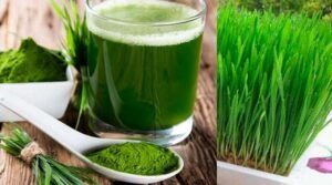 wheat grass benefits