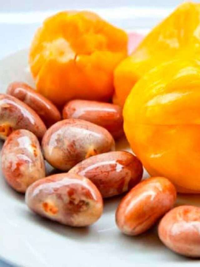 పనస గింజలు తింటే.. ఇన్ని లాభాలా..!