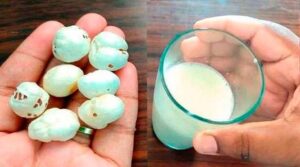 Pool makhana milk benefits