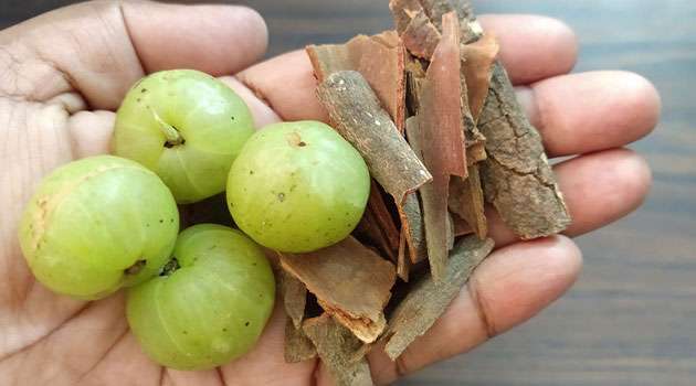 Diabetes amla juice