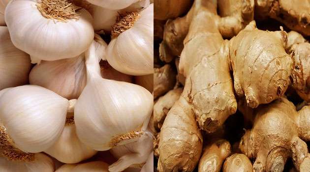 Garlic vs Ginger Benefits
