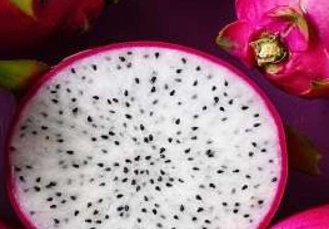 Dragon fruit