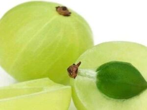 Health Benefits Of Amla Seeds