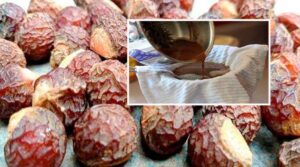 Homemade Herbal Shampoo