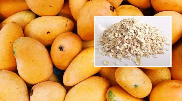 Mango And Oats benefits