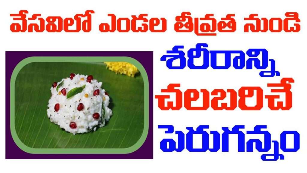 curd rice