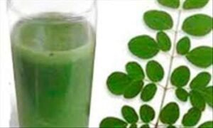 drumstick juice