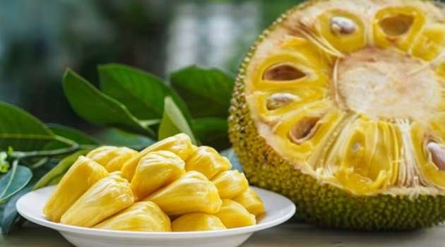 Jack Fruit Benefits In telugu