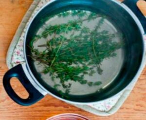 Thyme leaves tea
