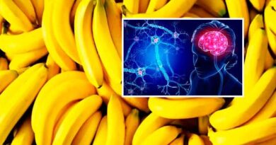 Best Foods for Your Nervous System