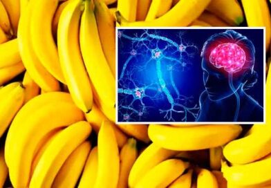 Best Foods for Your Nervous System