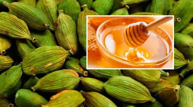 cardamom beauty benefits