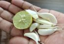 A natural remedy for cleansing blood vessels