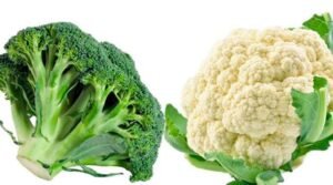 Cauliflower vs Broccoli Benefits