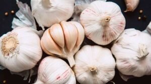garlic Health benefits