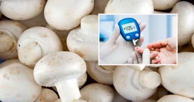 Mushroom is best for sugar patients
