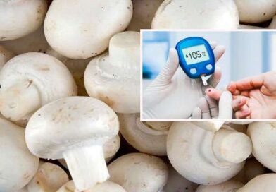 Mushroom is best for sugar patients