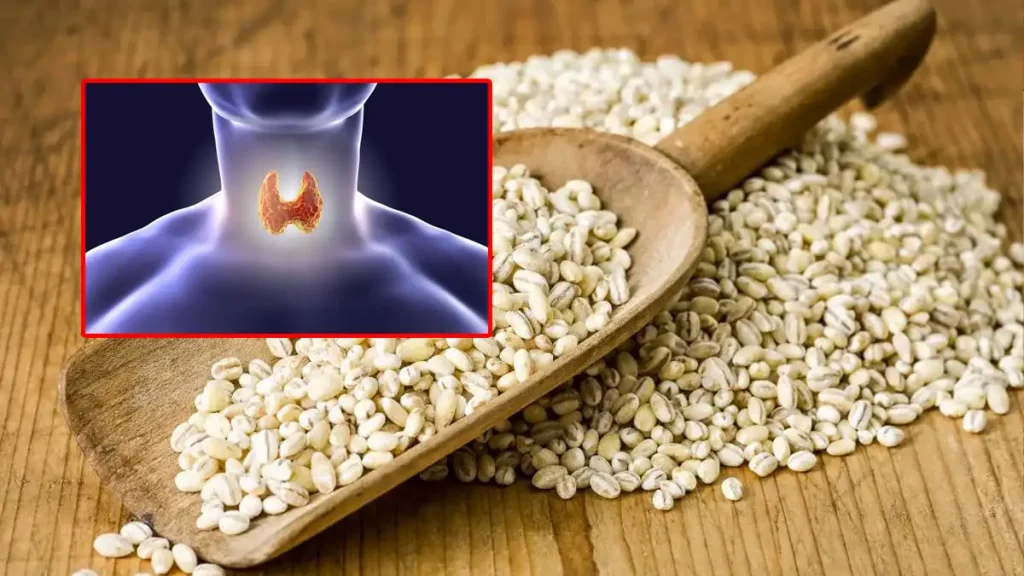 Barly Seeds