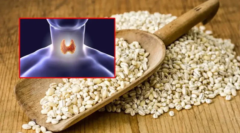 Barly Seeds