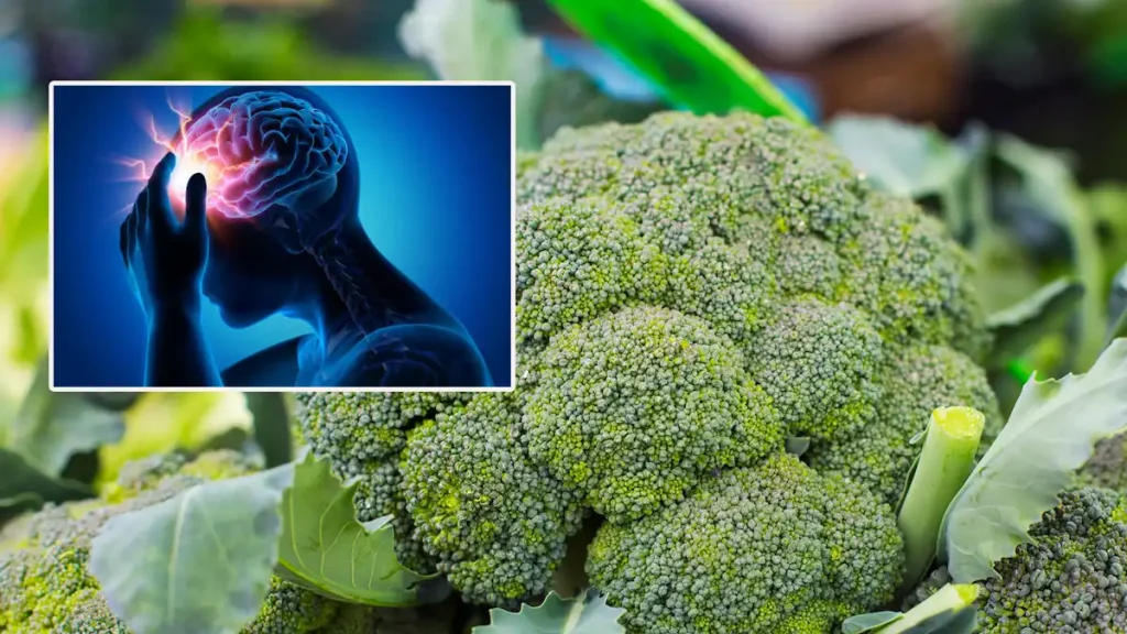 braokilo brain health