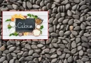calcuim foods